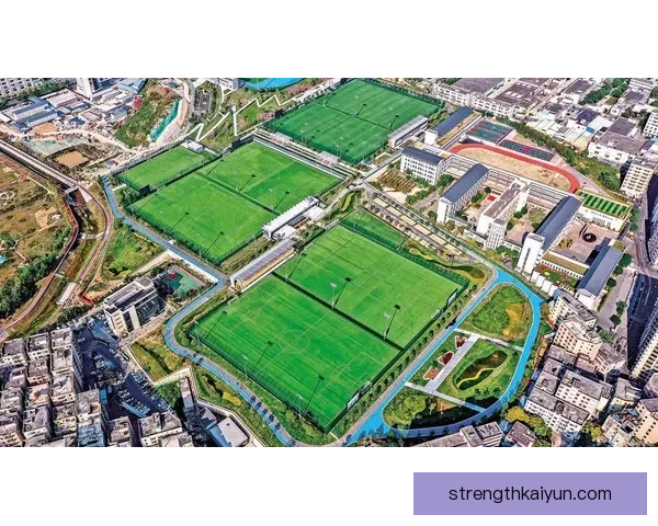 英超布莱顿伤病潮加剧，球队状态面临严峻考验